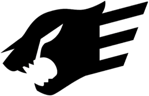 Fastify logo